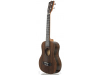 Tanglewood TWT19 Tanglewood TWT19